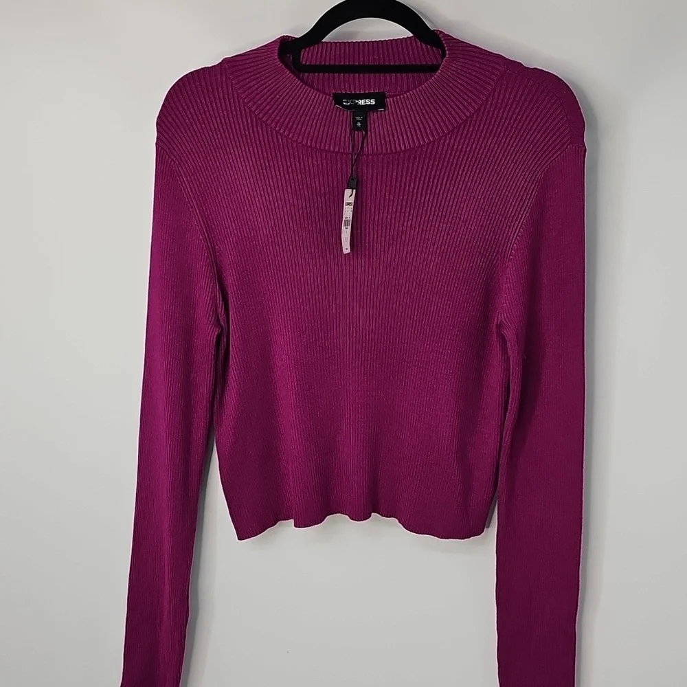 Express Ribbed Mock Turtleneck Cropped‎ Knit Sweater Top Fuchsia Pink